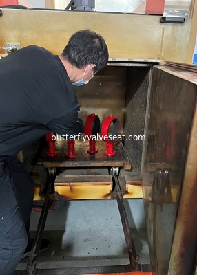 FKM métallisé Seat pour les vannes papillon posées résilientes, DN25-DN600